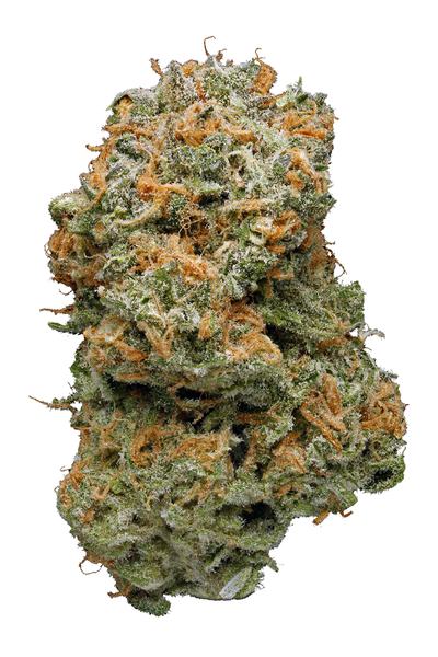 Blue Dream - 混合物 Cannabis Strain