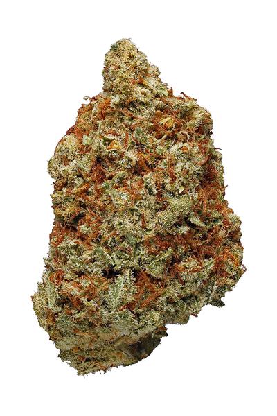 Blue Dynamite - Hybrid Cannabis Strain