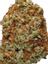 Blue Dynamite Hybrid Cannabis Strain Thumbnail