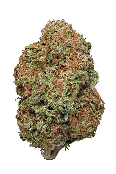 Blue Hawaiian - Híbrida Cannabis Strain