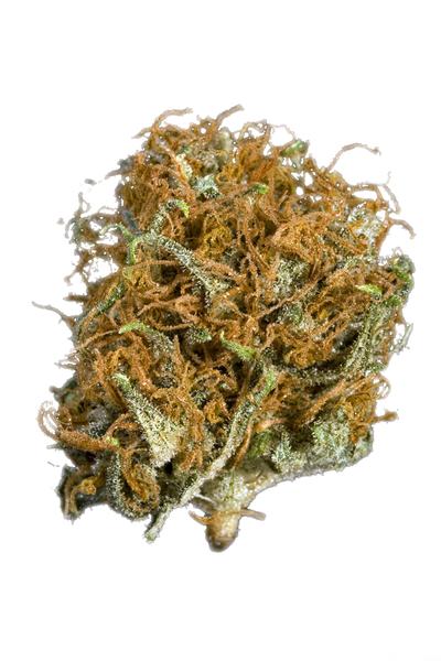 Blue Hawgs Breath - Hybrid Cannabis Strain