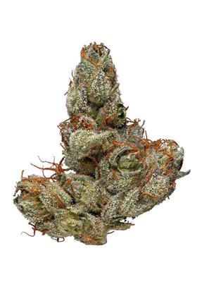 Blue Knight - Hybrid Cannabis Strain