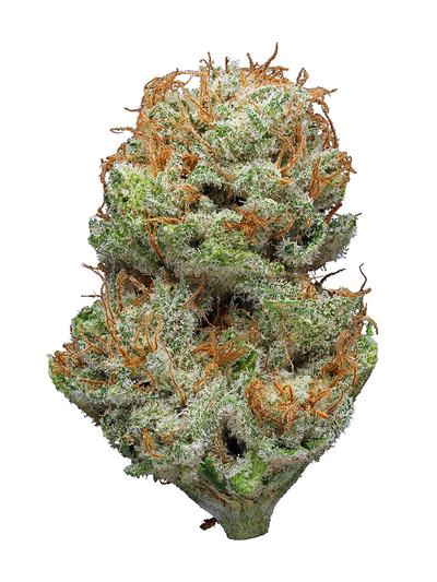 Blue Kush - Hybrid Cannabis Strain