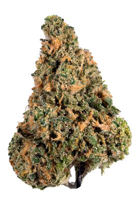 Blue Maui - 混合物 Cannabis Strain