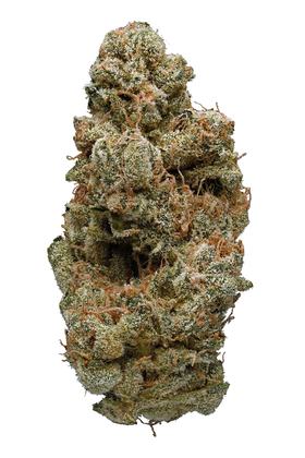 Blue OG - Híbrida Cannabis Strain