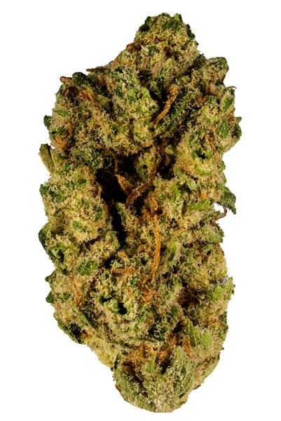 Blue Ridge - Hybrid Cannabis Strain