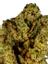 Blue Ridge Hybrid Cannabis Strain Thumbnail