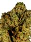 Blue Ridge Hybrid Cannabis Strain Thumbnail