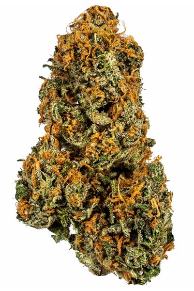 Blue Suede - Hybrid Cannabis Strain