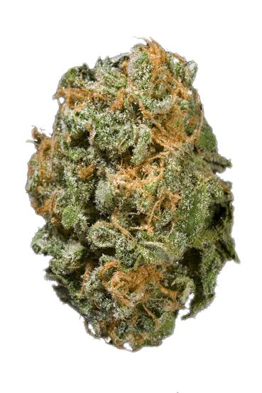 Blue Thai - Hybrid Cannabis Strain