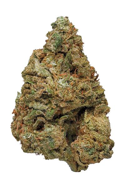 Blue Widow - Hybrid Cannabis Strain