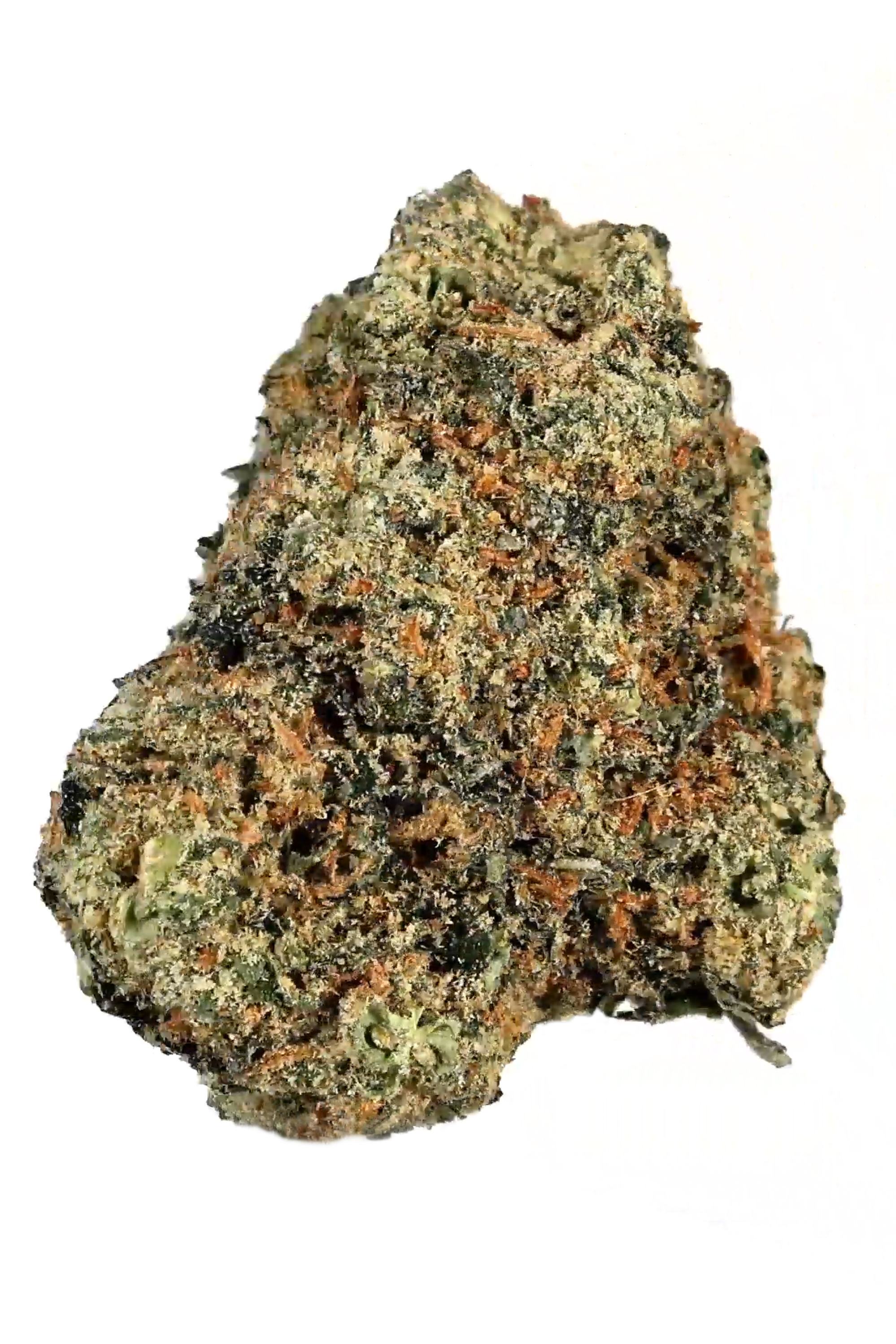 Blueberry - hybrid Cannabis Strain by Hytiva