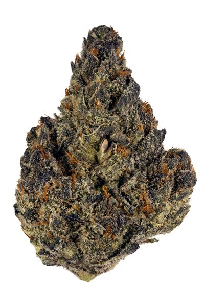 Blueberry Cookies - Hybrid Cannabis Strain