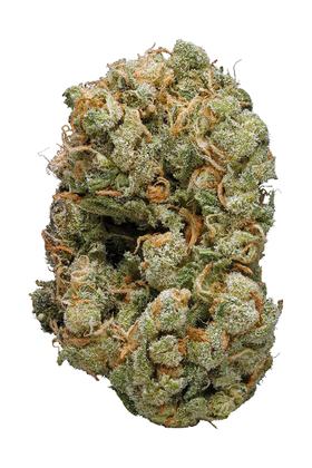 Blueberry Diesel - Híbrida Cannabis Strain