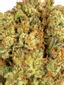 Blueberry Flavor Hybrid Cannabis Strain Thumbnail