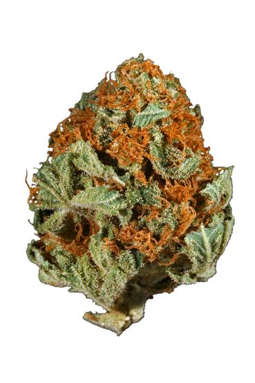 Blueberry Hawgs Breath - Hybrid Cannabis Strain