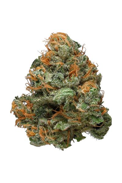 Blueberry Haze - Híbrida Cannabis Strain
