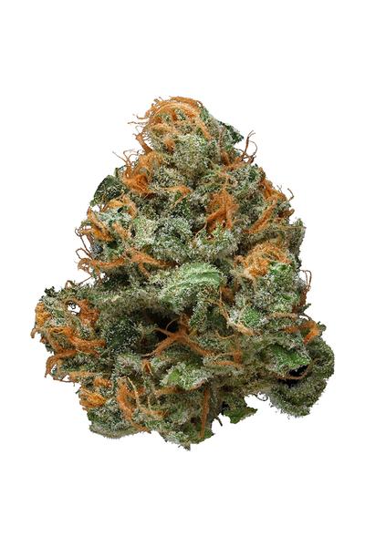 Blueberry Haze - Híbrido Cannabis Strain