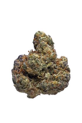 Blueberry Jack - Hybrid Cannabis Strain