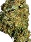 Blueberry Kush Hybrid Cannabis Strain Thumbnail