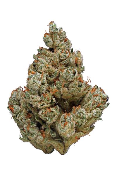 Blueberry OG - 混合物 Cannabis Strain