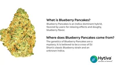 Blueberry Pancakes - Hybrid Strain