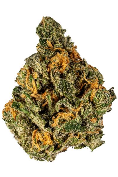 Blueberry Pie - Hybrid Cannabis Strain