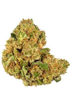 Blueberry Shortcake - Híbrida Cannabis Strain