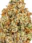 Blueberry Sinmint Hybrid Cannabis Strain Thumbnail