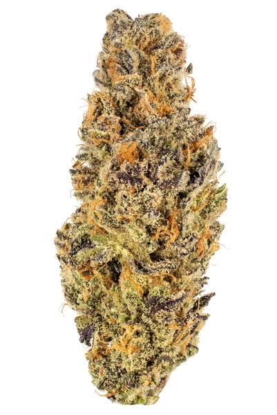 Blueberry Sunset - Híbrido Cannabis Strain