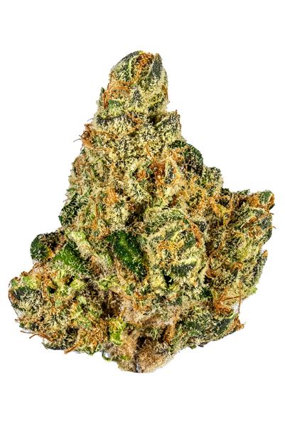 Blueji OG - Híbrida Cannabis Strain