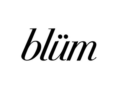 Blum - Desert Inn Logo
