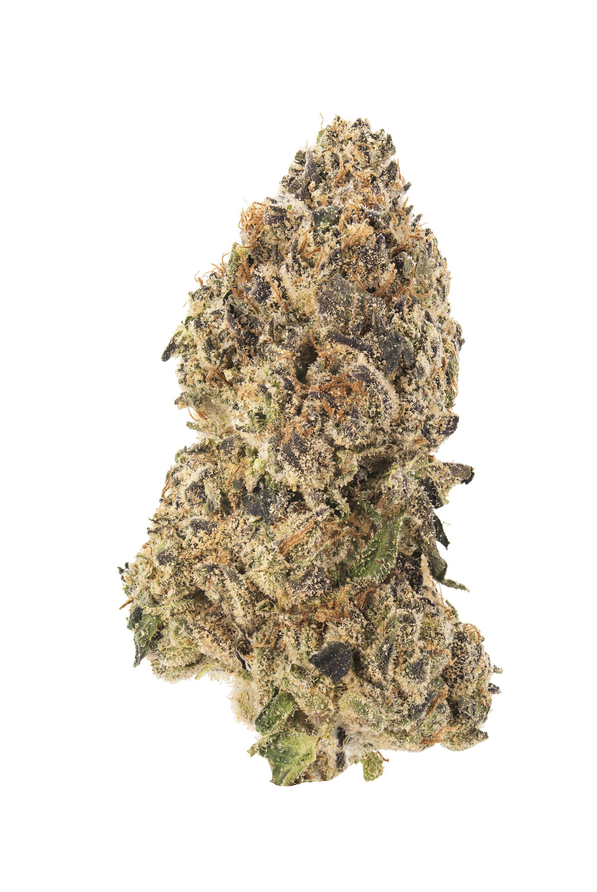 Bolo Runtz Cannabis Strain Bud