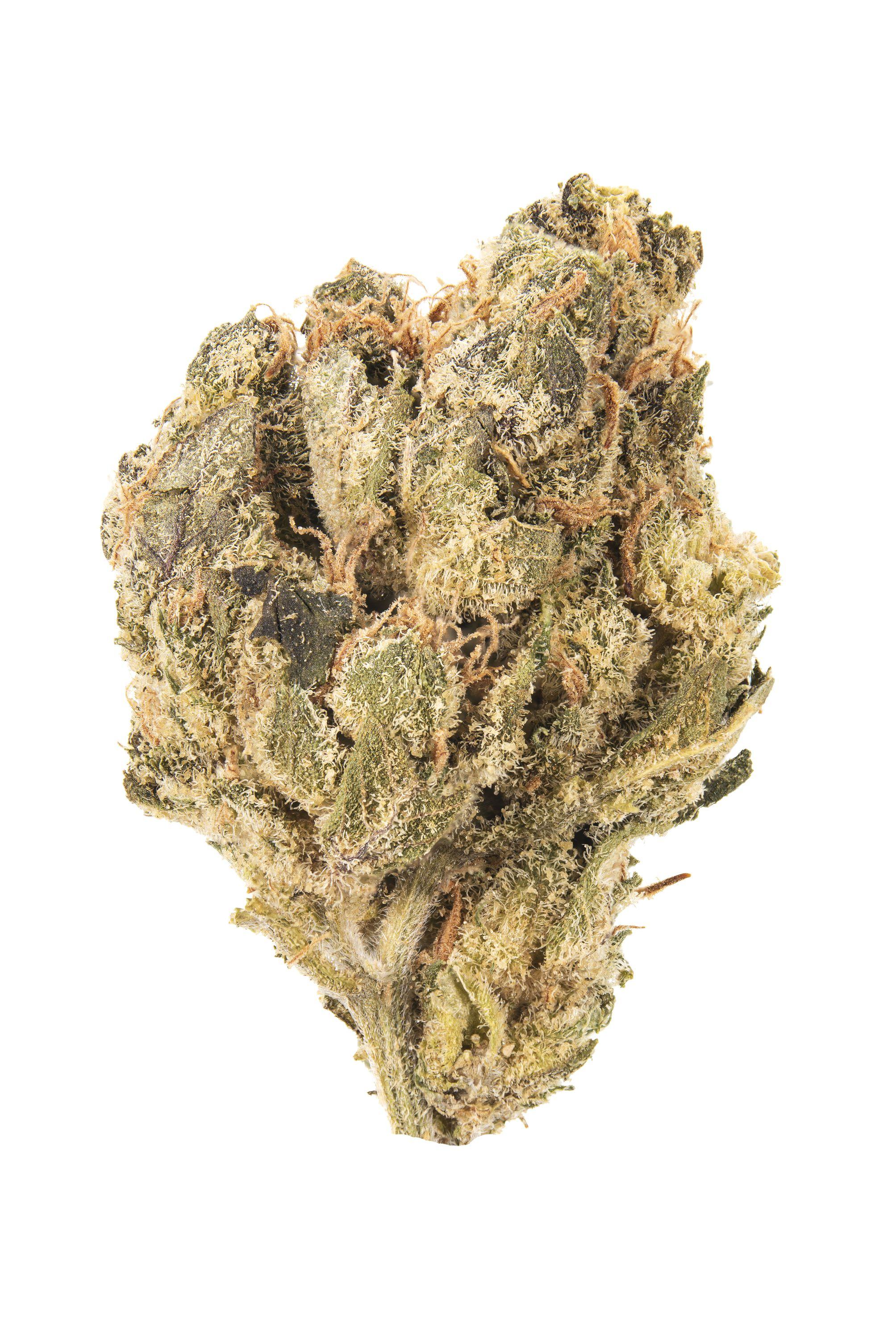 Bomb Pop Cannabis Strain Bud