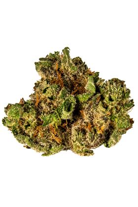 Bond Road Kush - Híbrida Cannabis Strain