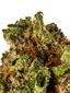 Bond Road Kush Hybrid Cannabis Strain Thumbnail