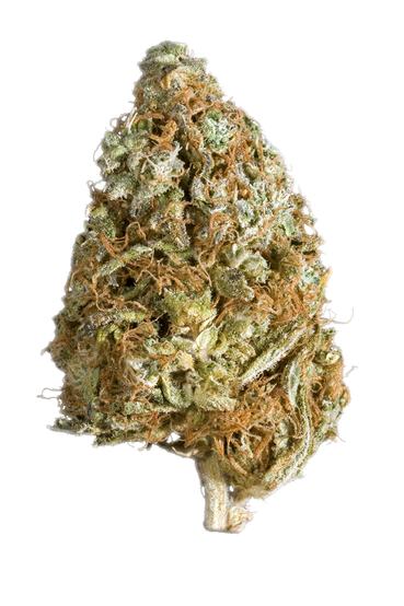 Booger - Hybrid Cannabis Strain