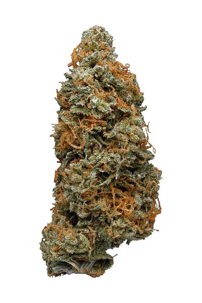 Boom Kush - Hybrid Cannabis Strain