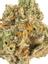 Boston Cream Pie Hybrid Cannabis Strain Thumbnail