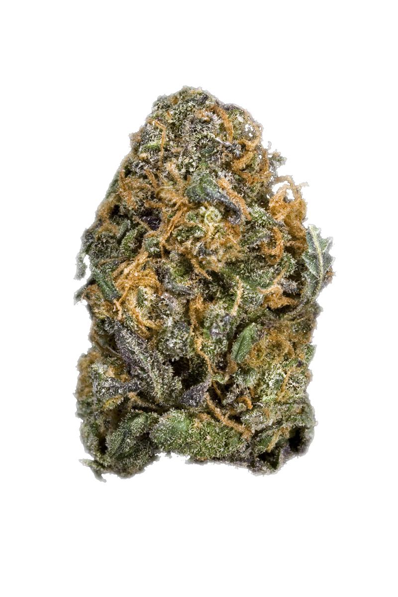Boysenberry - Hybrid Cannabis Strain