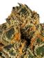 Bract City Hybrid Cannabis Strain Thumbnail
