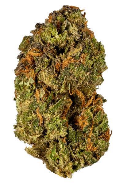 Brian Berry Cough - Hybrid Cannabis Strain
