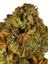 Brian Berry Cough Hybrid Cannabis Strain Thumbnail