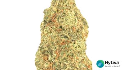 Bubba Berry - Hybrid Cannabis Strain