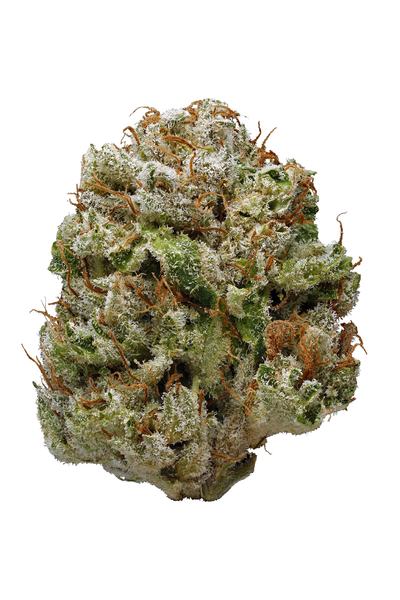 Bubba Dawg - Híbrida Cannabis Strain