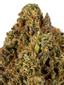 Bubba Malawi Hybrid Cannabis Strain Thumbnail