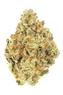 Bubba Star Dog Hybrid Cannabis Strain Thumbnail