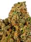 Bubba Ticket Hybrid Cannabis Strain Thumbnail