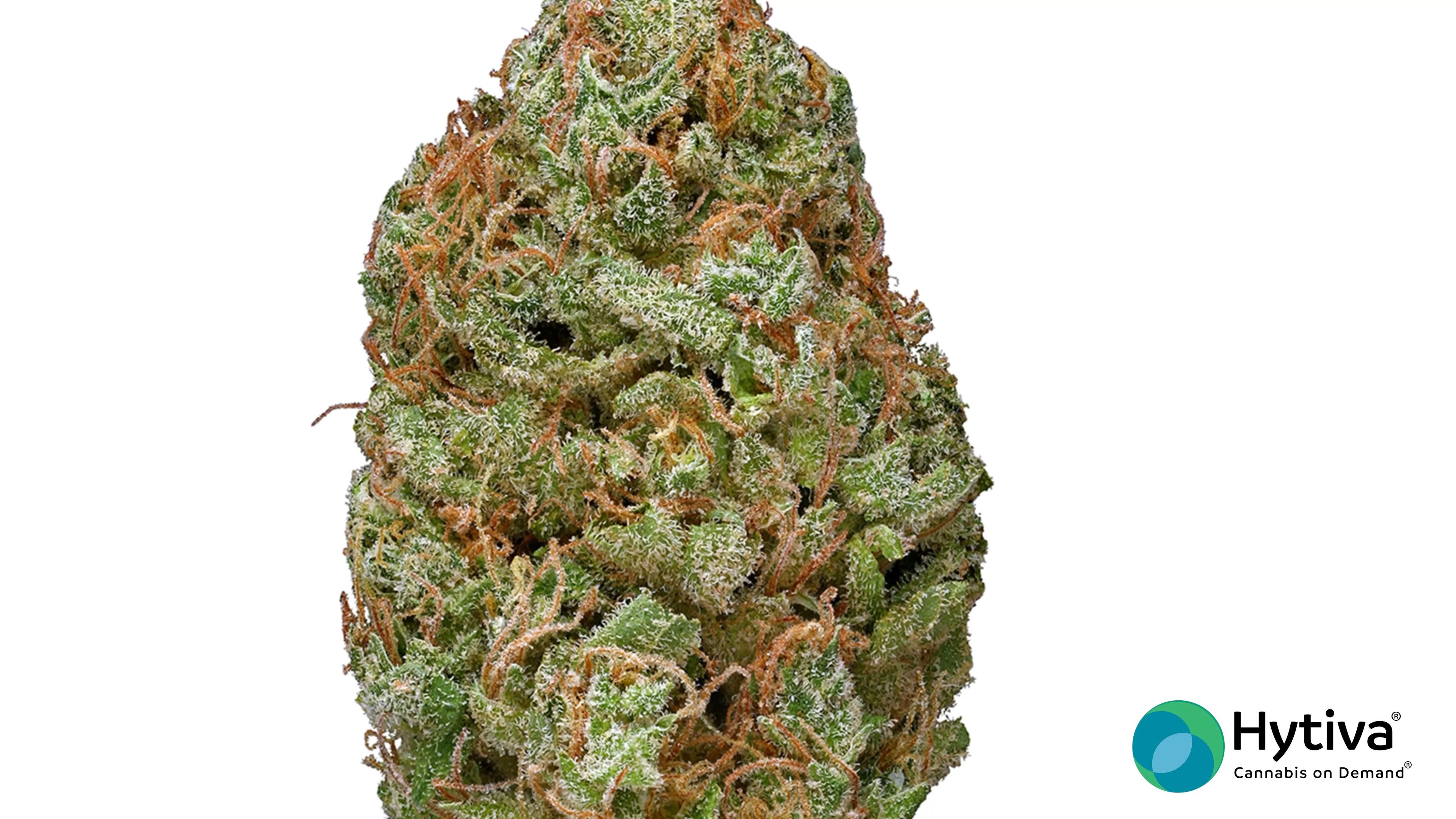 Bubble Gum Aka Bubba Gum Weed Strain Information Leafly, 55% OFF