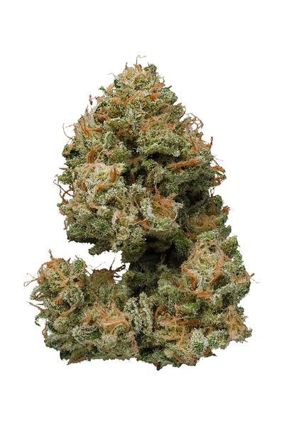 Bubbleberry - Hybrid Cannabis Strain